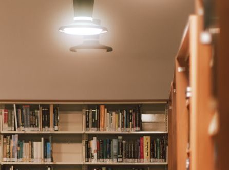 Library Haiku